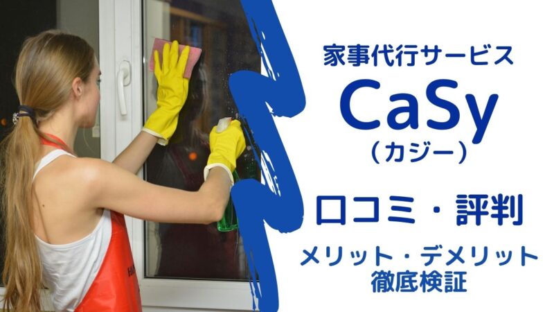 casy-customer-voice